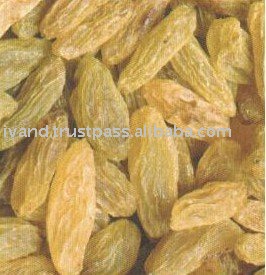 Long Green Golden Raisin