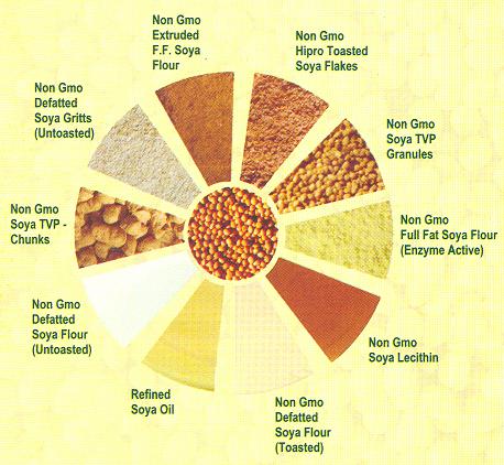 Non GMO  Soya   Products 