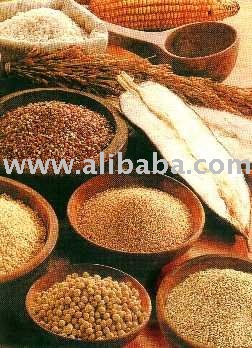 Celiac products