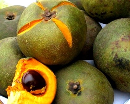Organic Lucuma ( Pulp , Powder,  Dried  Slices)
