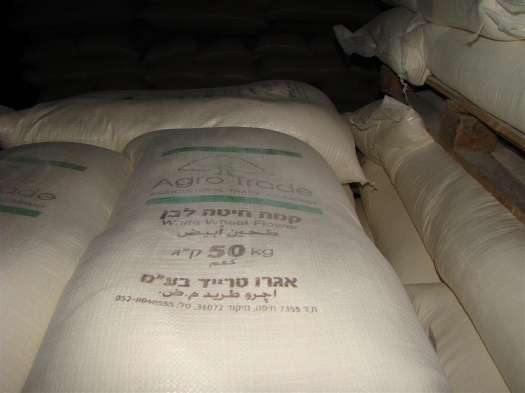 wheat flour