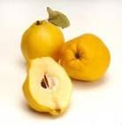 Quince Pulp Concentrates