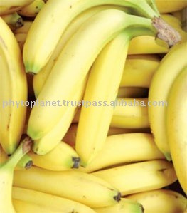 Banana pulp powder,Brazil price supplier - 21food