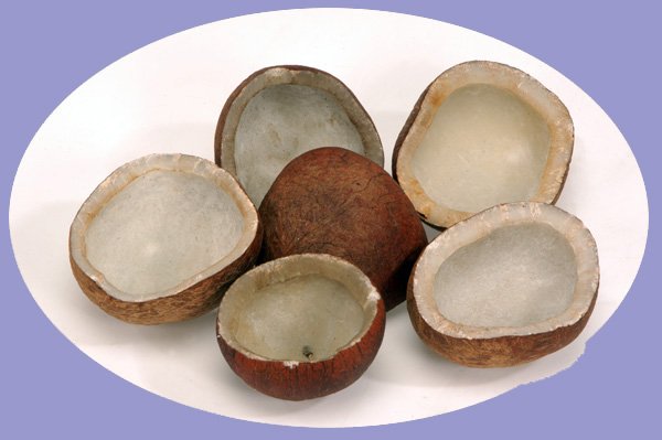 Cocount copra for Exports