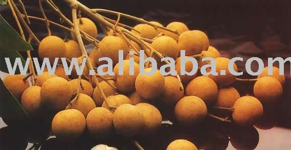 Dried Longan
