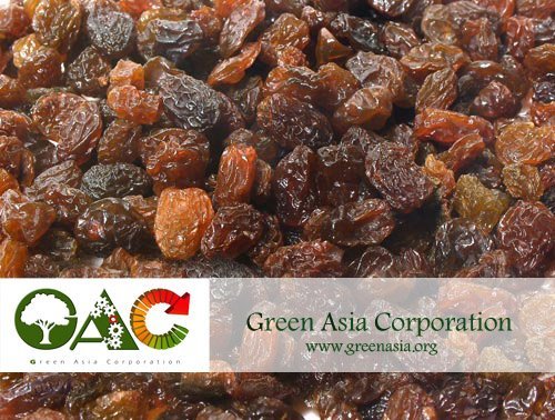 Sun dried Raisin (Iranian Sundried Raisin)