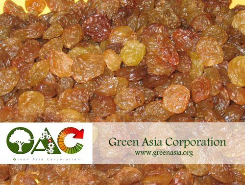 Sultana Raisin (Iranian Sultana Raisin)