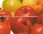 Freeze Dried Acerola Powder