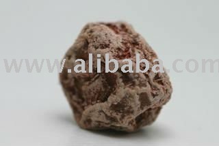 Presesed Plum (Khattu)
