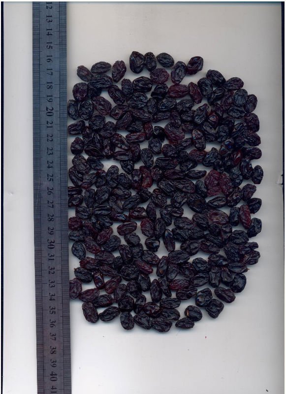Black raisin processed