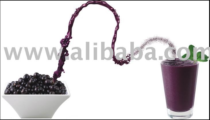 Liofruit 100 - Freeze  Dried   Acai  Powder