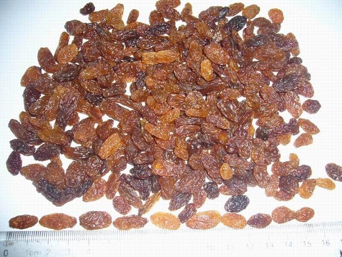 Sell  Raisin From China