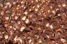 coconut copra