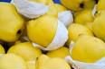 Quince fruits for sale