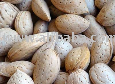 KASHMIR ALMOND