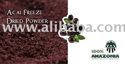 Acai (Euterpe oleracea) Freeze dried powder