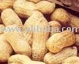 Graunds Nuts in Shell