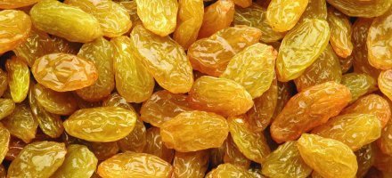 Golden Raisins