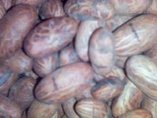 Bitter Kola (  Garcinia  Kola)