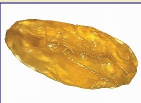 Golden Seedless Raisins