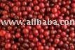 Cranberry