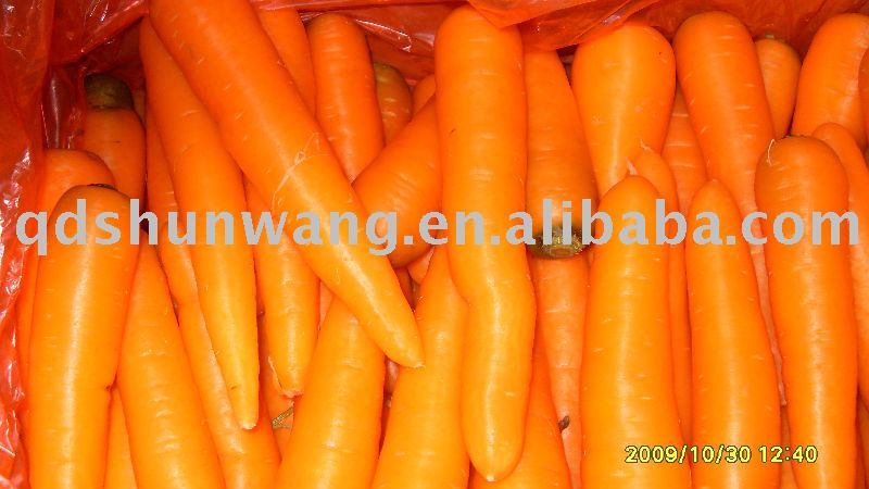 2011 chinese fresh baby carrot 80g