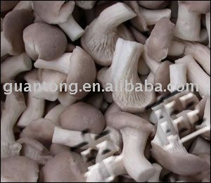 frozen  mushroom