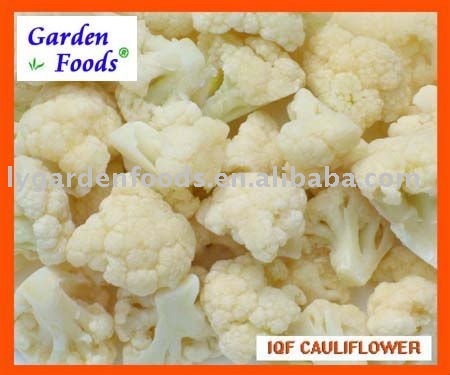 Frozen cauliflower, 2011 new crops