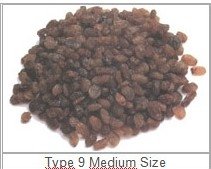 SULTANA RAISINS- type  9 medium size