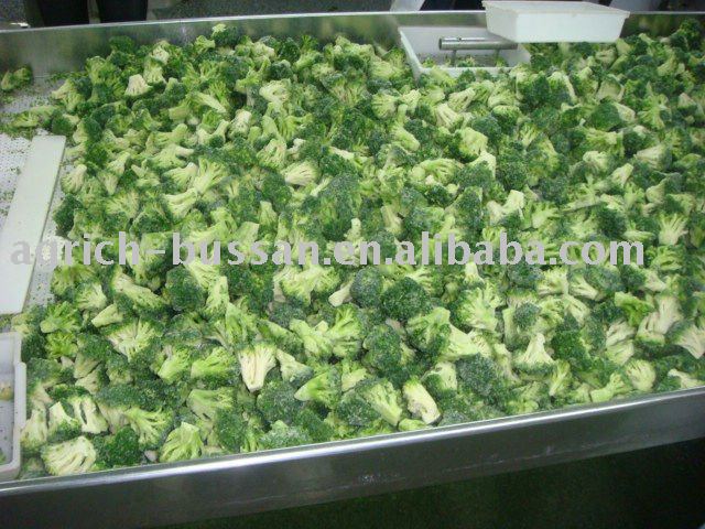 IQF Broccoli
