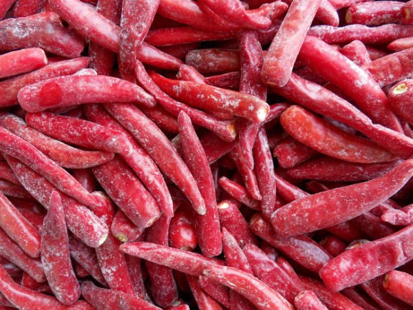 Jinta red chilli