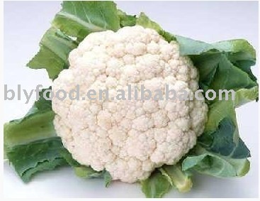 iqf broccoli,frozen Broccoli,fresh broccoli