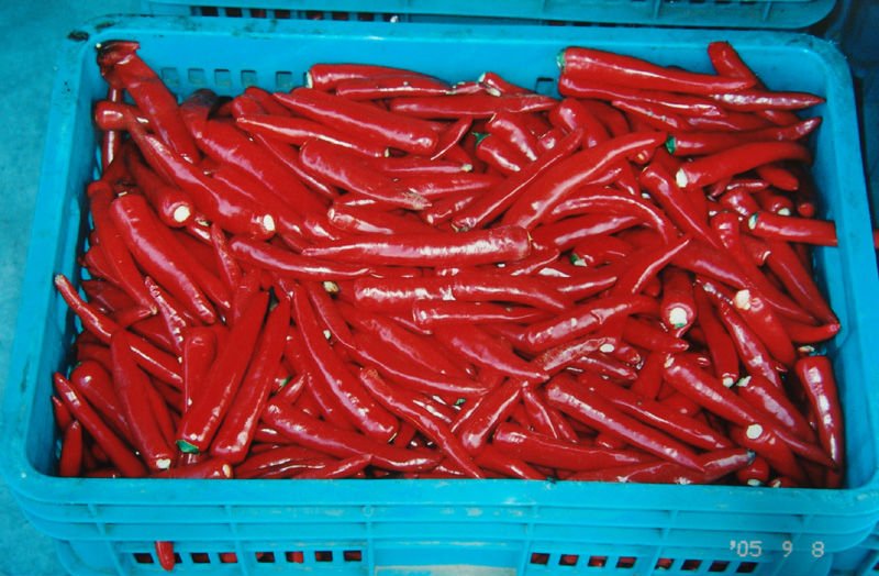 frozen red  pepper