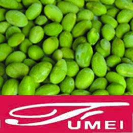 frozen soybean kernel
