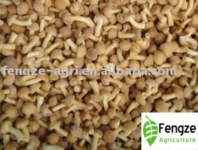 2010 New Crop Individual Quick Frozen Nameko