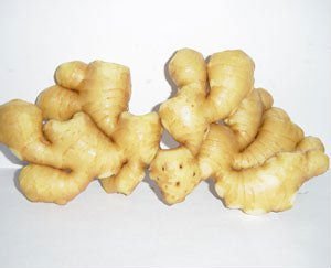 high qualified chinese fresh gingers