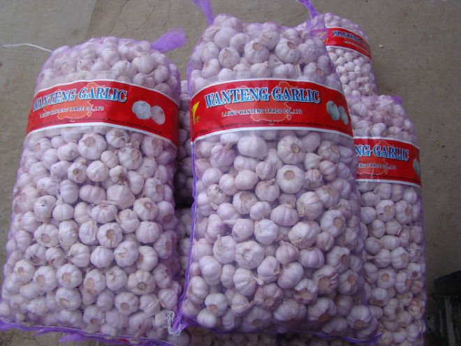 Frozen spinach,China WT price supplier - 21food