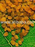 Dried grapes