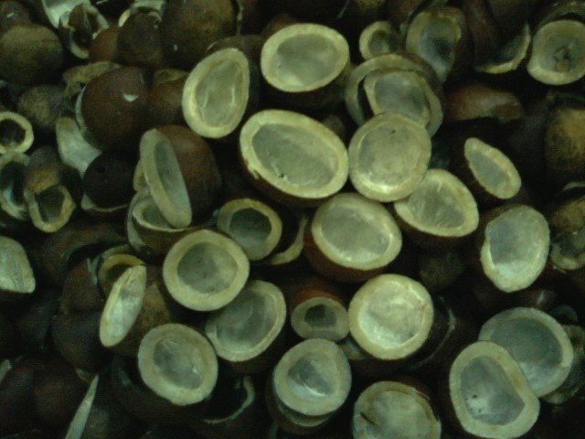  copra  ( edible  and milling)
