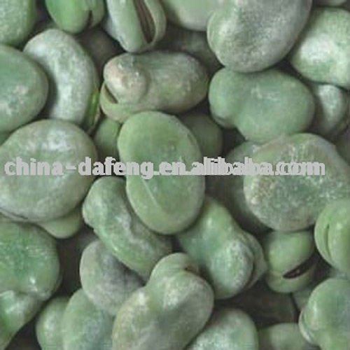 Frozen Broad Beans