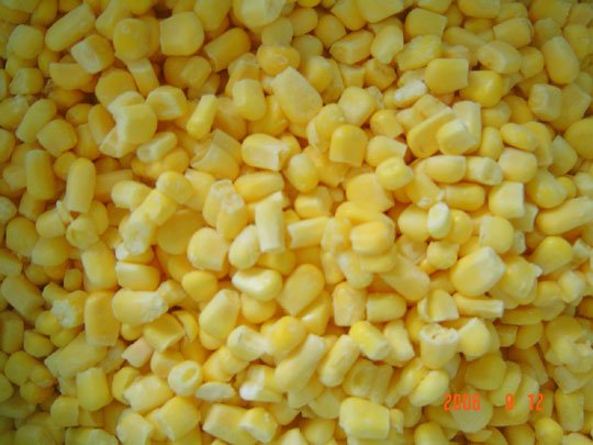 FROZEN SWEET CORN