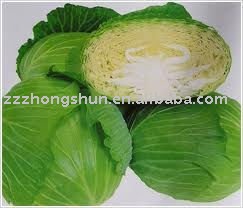 savoy        cabbage