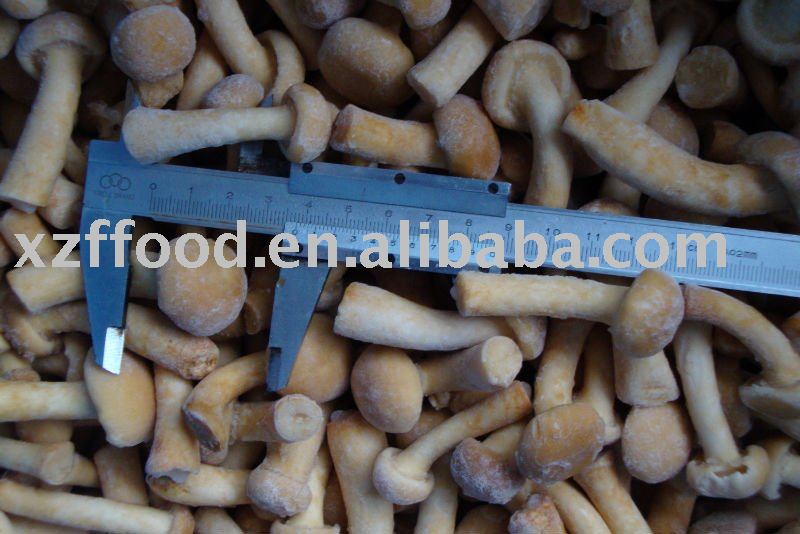 IQF Nameko whole