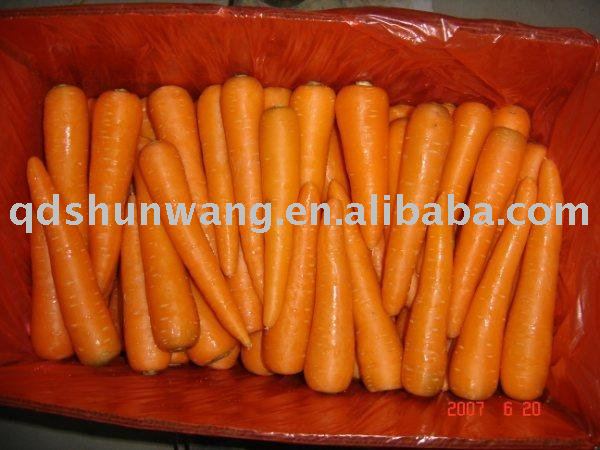 2011 fresh baby farm carrot 120g