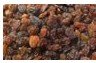 Sultana raisin