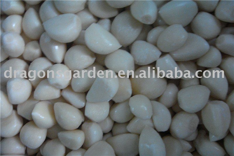IQF Garlic