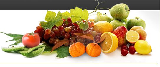 dried foods, dried fruits and vegetables, pulses, nuts, pasta, sauces, ready-made sauces, frozen foo