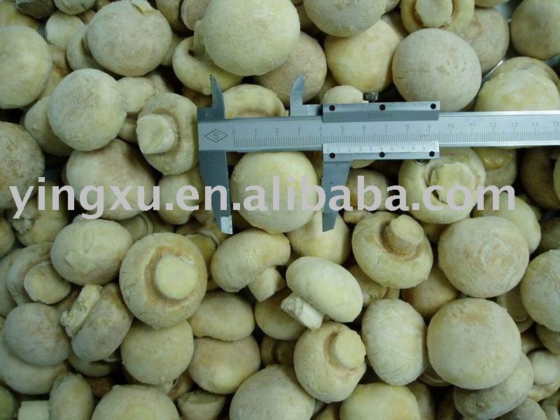 Frozen mushroom(blanched mushroom,frozen food)