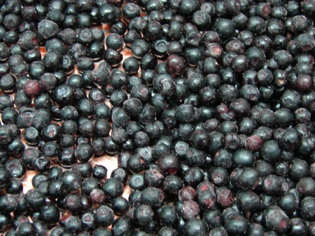 Organic Wild Blueberries-IQF