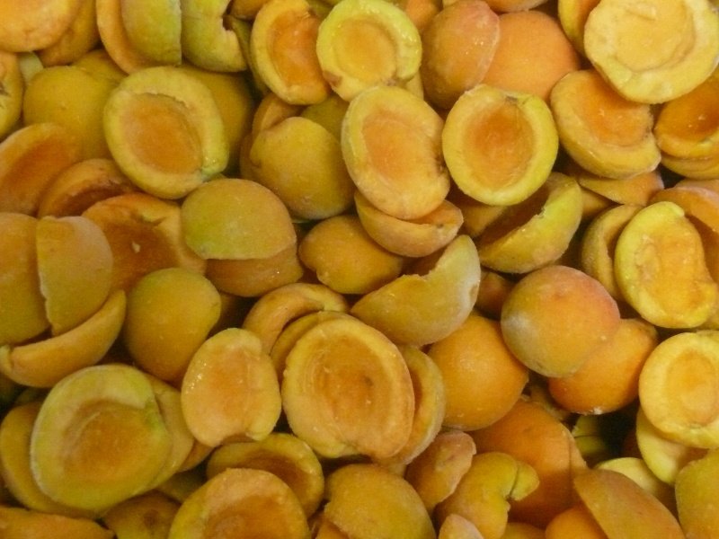 Apricot